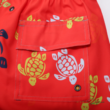 Carregar imagem no visualizador da galeria, Shorts "Ronde des Tortues Tricot" Vilebrequin
